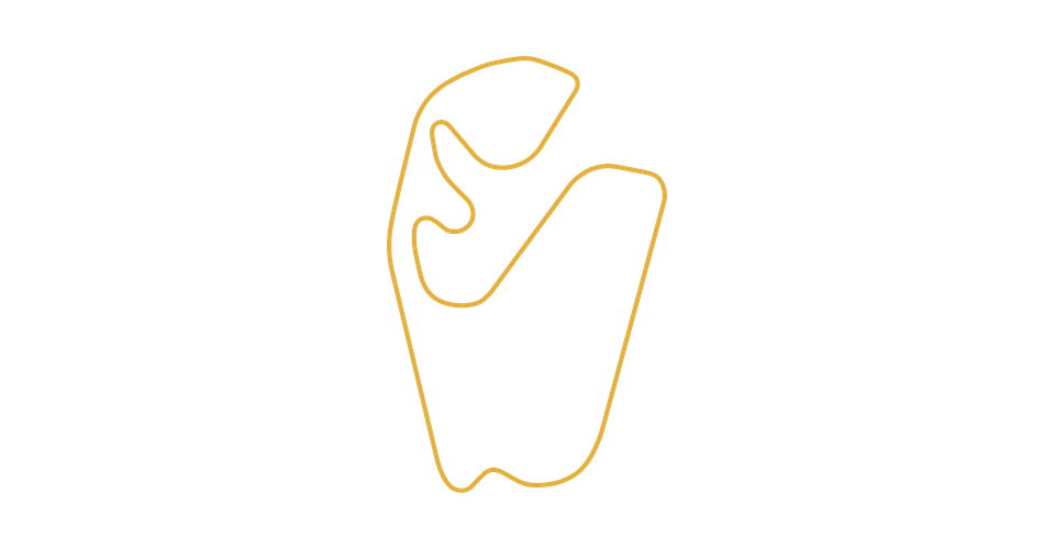 Autódromo José Carlos Pace - Grand Prix layout map